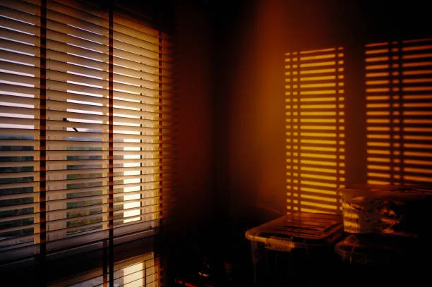 Skilled technicians handling precise blinds replacement projects