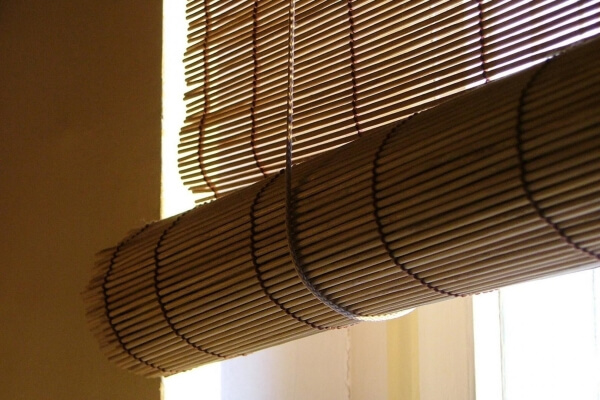 Bamboo