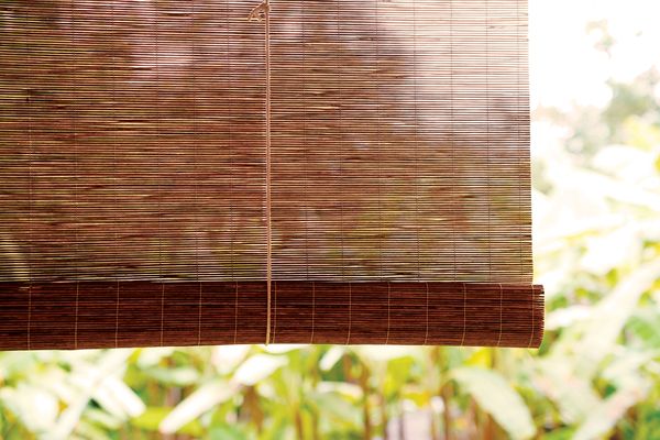 Bamboo