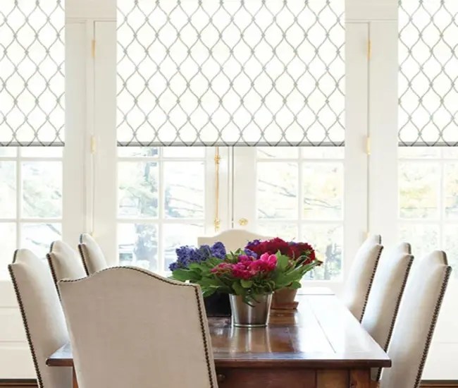 Designer Window Shades