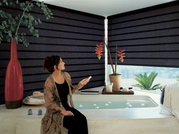 Motorized Shades